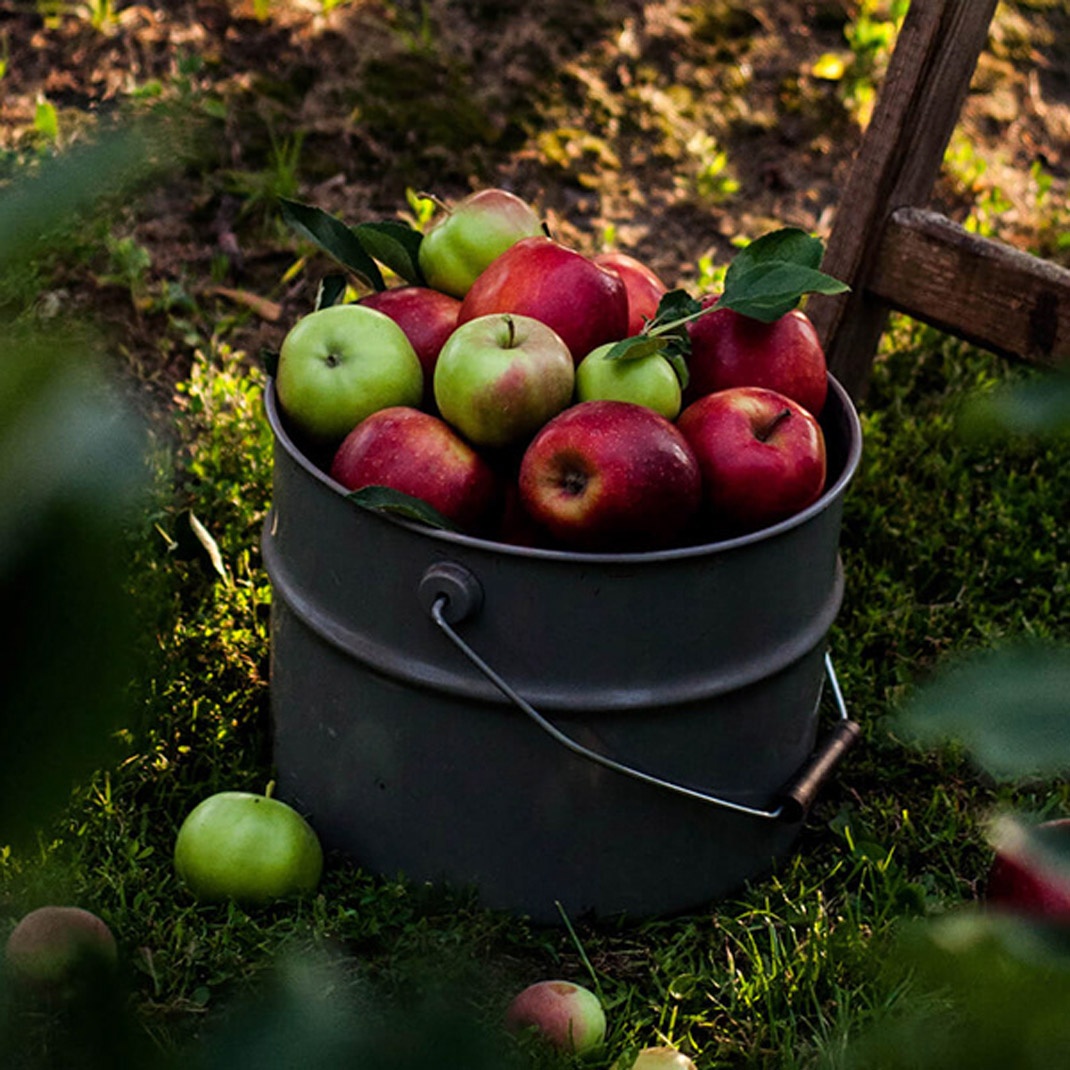 果汁品牌視覺設(shè)計(jì) 果汁品牌視覺設(shè)計(jì)
